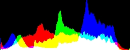 Histogram